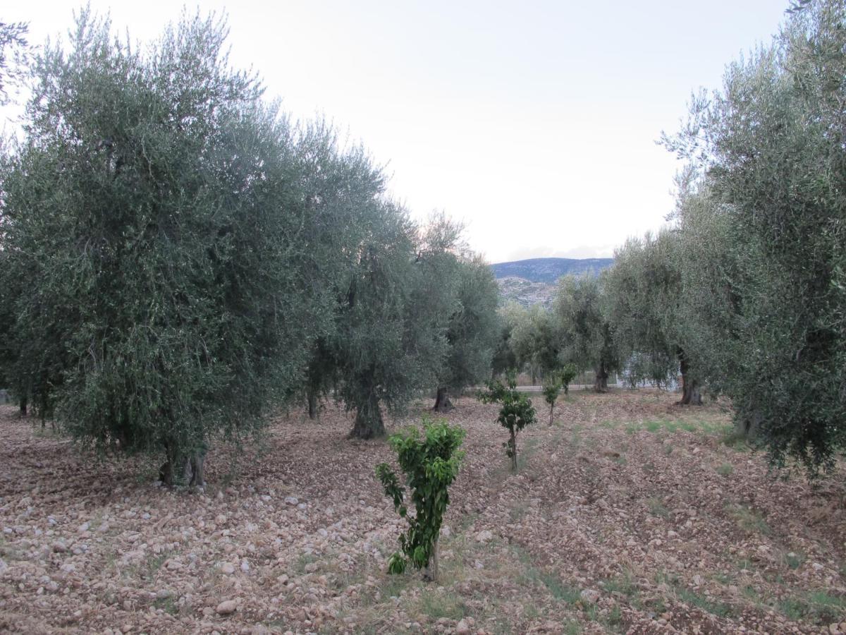 Olive&Sea Villa-Sea Mattinata Esterno foto