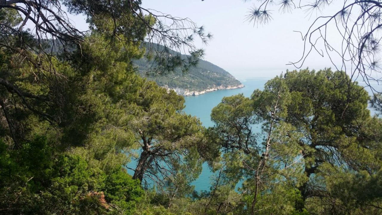 Olive&Sea Villa-Sea Mattinata Esterno foto