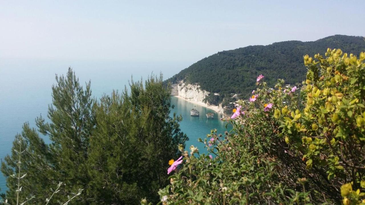 Olive&Sea Villa-Sea Mattinata Esterno foto