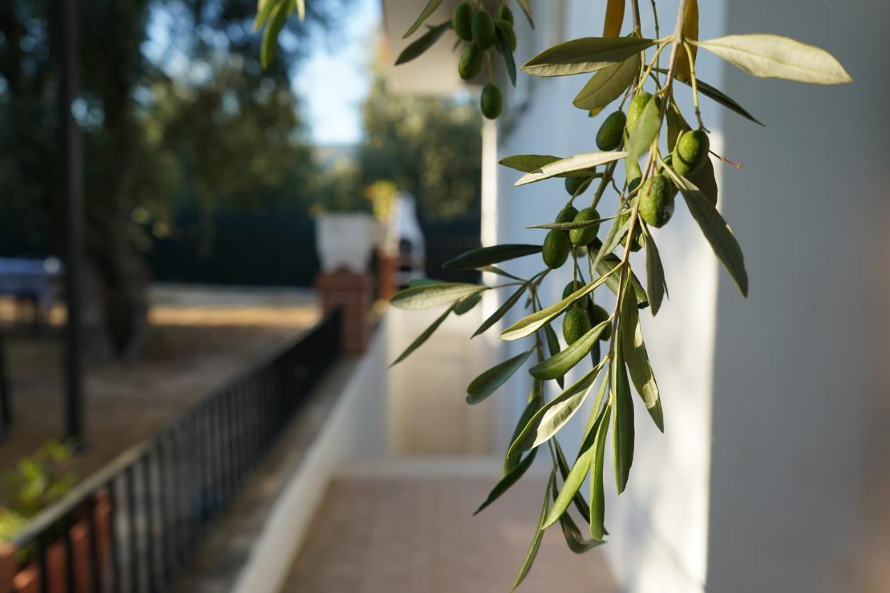 Olive&Sea Villa-Sea Mattinata Esterno foto