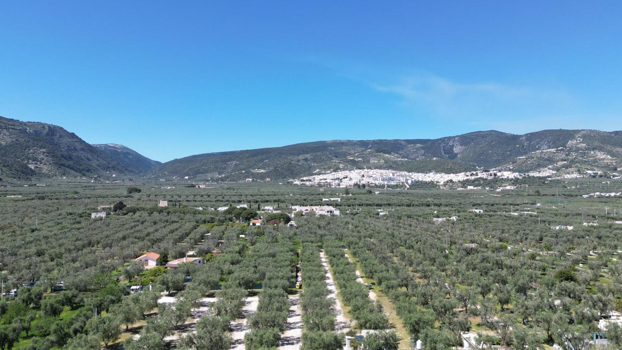 Olive&Sea Villa-Sea Mattinata Esterno foto