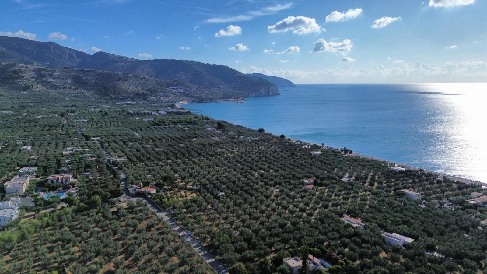 Olive&Sea Villa-Sea Mattinata Esterno foto